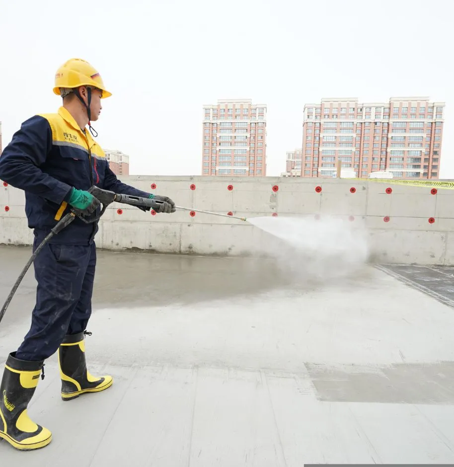 roof-coating-application–leak-protection